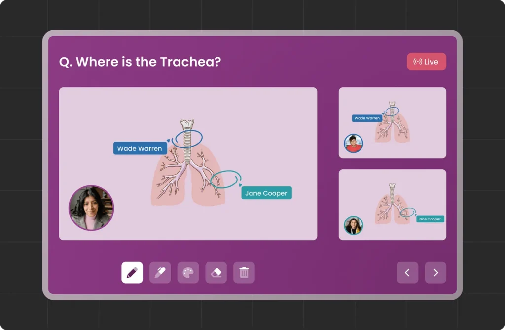 Interactive Quizizz Dashboard